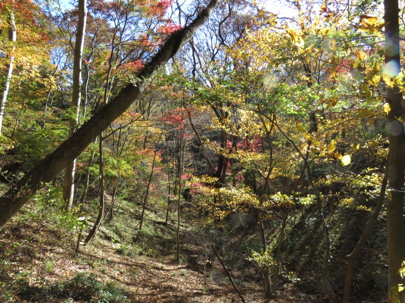 奥久慈・男体山